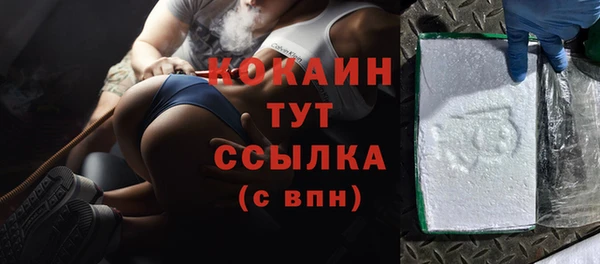 мдпв Богородицк