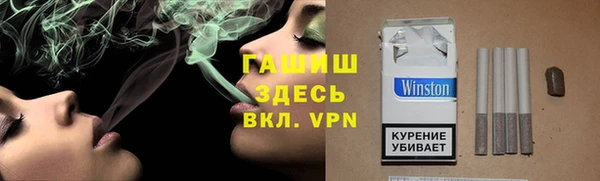 мдпв Богородицк