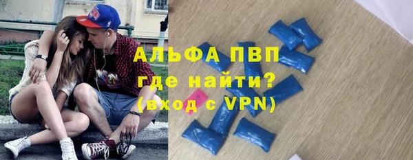 индика Бронницы