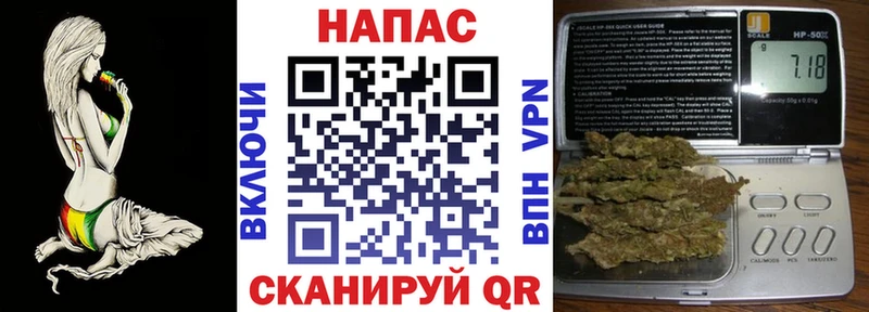 Каннабис конопля Балаково